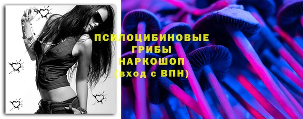 jwh Богородицк