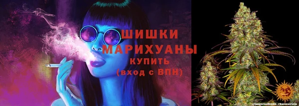 молекула духа Белоозёрский