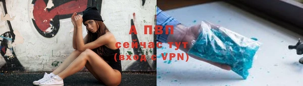 гашик Богородск