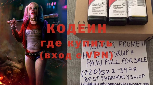 ПСИЛОЦИБИНОВЫЕ ГРИБЫ Бородино
