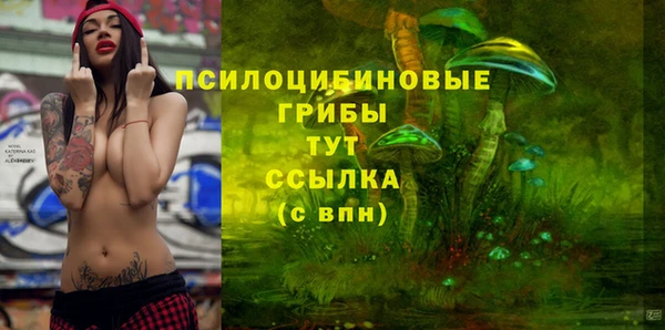 прущие крисы Богданович
