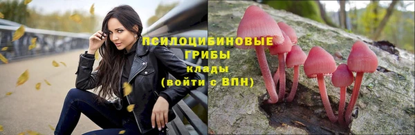 прущие крисы Богданович