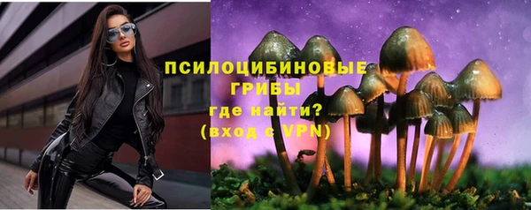 молекула духа Белоозёрский